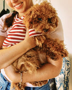 Dog T-Shirt product image 12