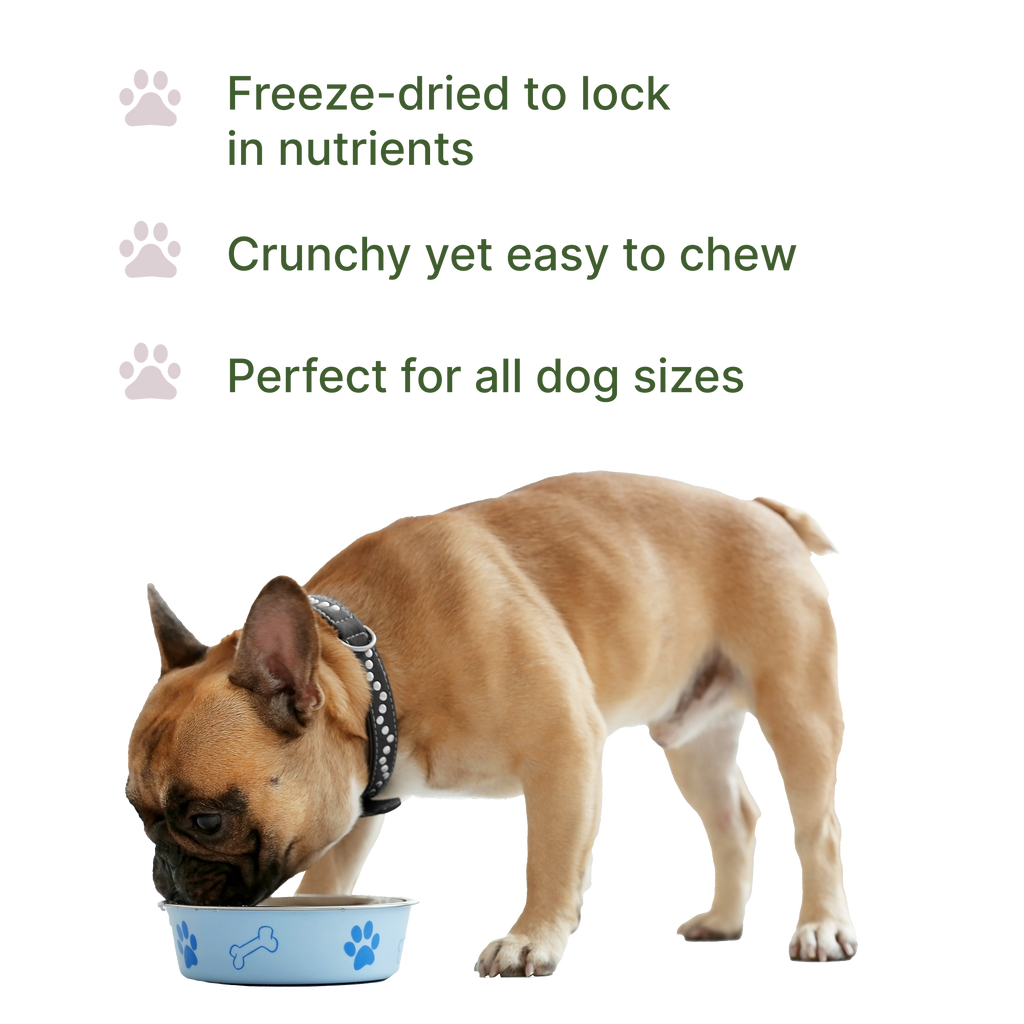 Freeze-Dried Bison Dog Food Topper product image 4