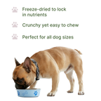 Freeze-Dried Bison Dog Food Topper product image 4