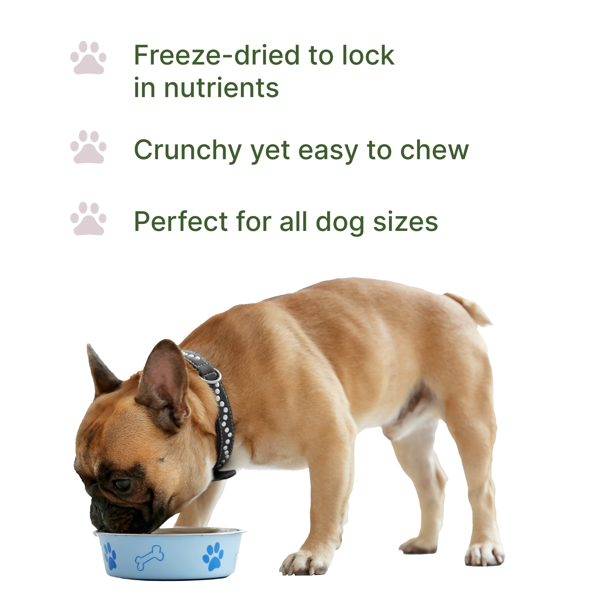 Freeze-Dried Bison Dog Food Topper product image 4