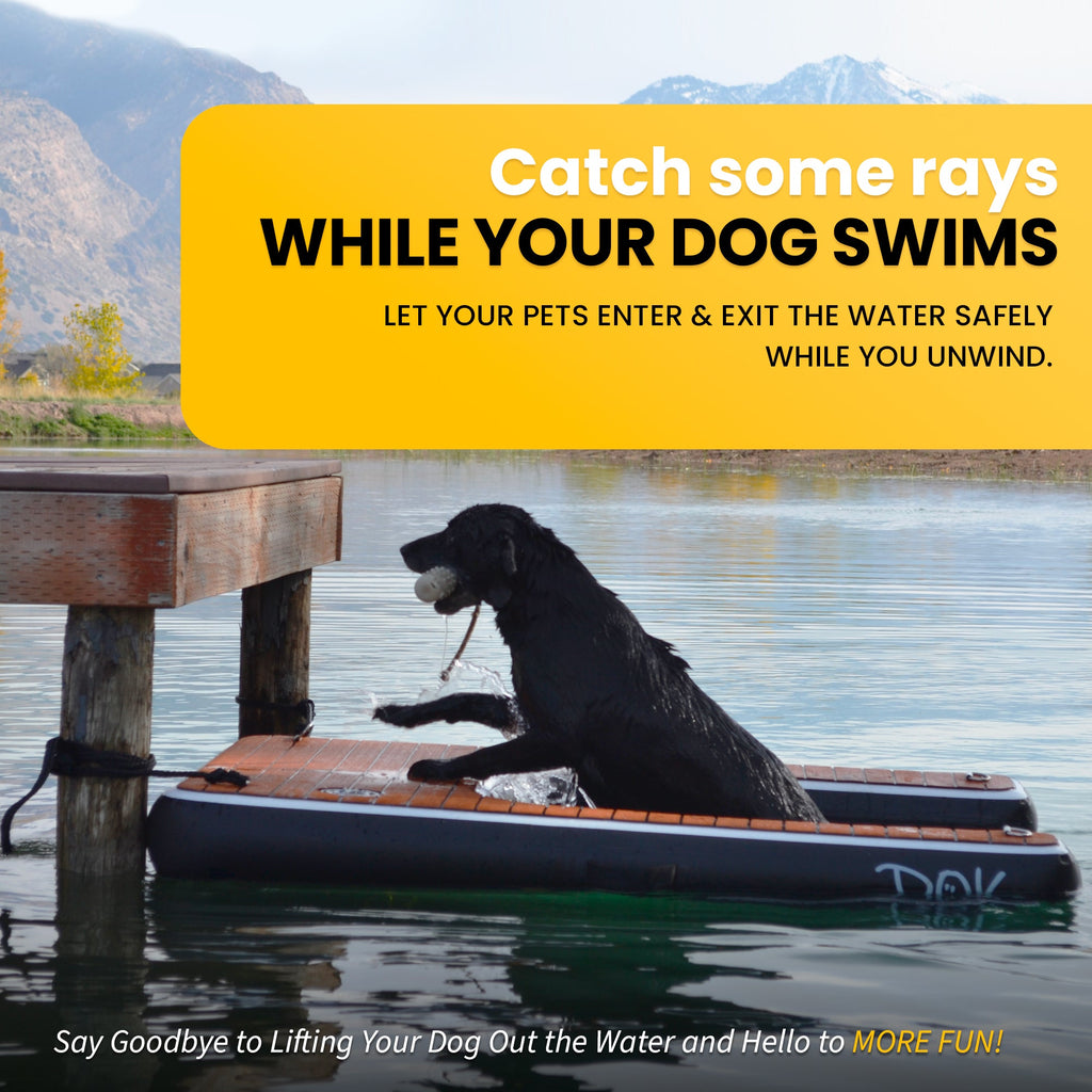 Inflatable Dog Water Ramp product image 3
