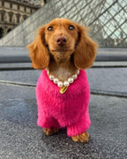 Pearl Dog Necklace with Heart Charm product image 4