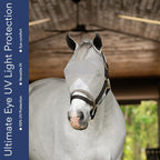 Horse Fly Mask product image 2