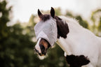 Horse Fly Mask product image 3
