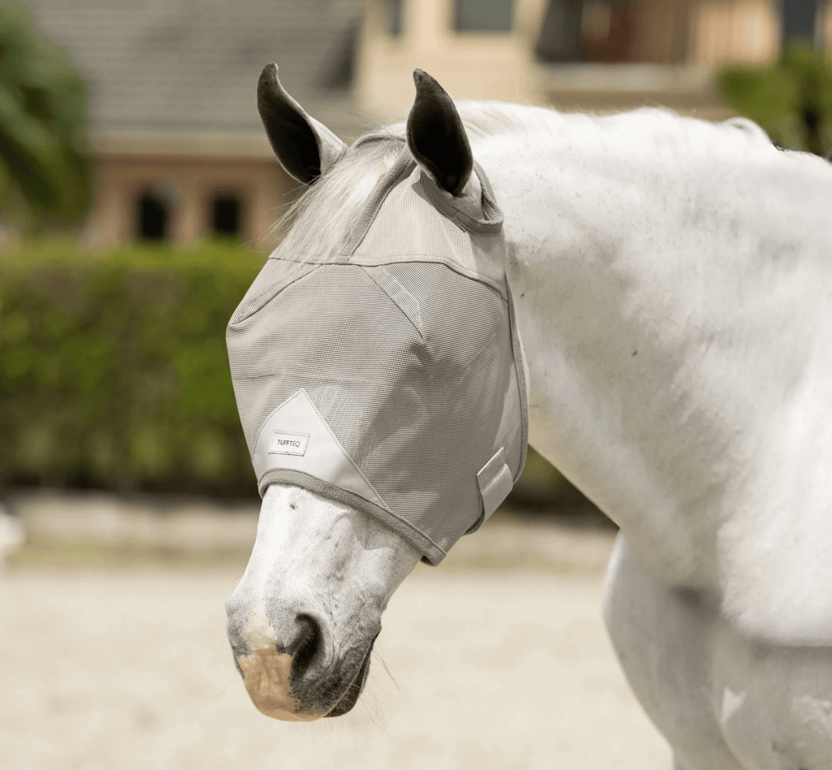 Horse Fly Mask product image 6