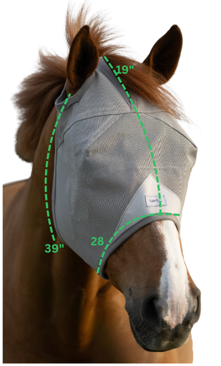 Horse Fly Mask product image 9