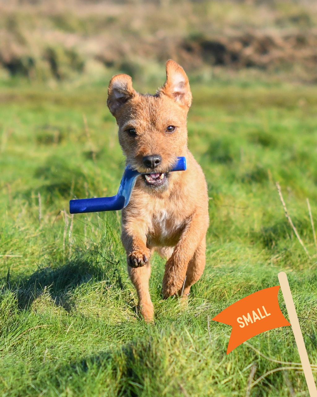Dog Fetch Toy product image 2