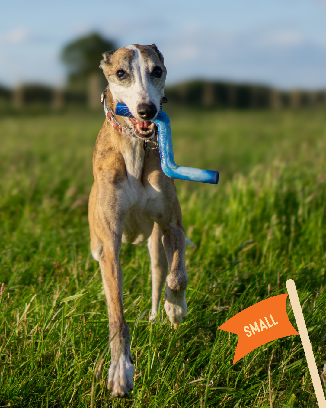 Dog Fetch Toy product image 3