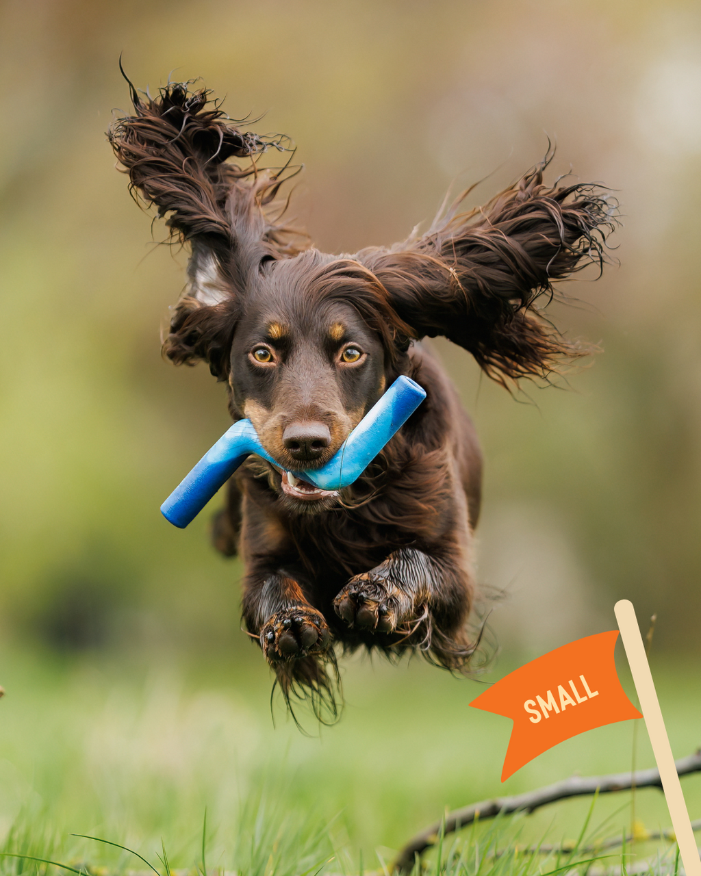 Dog Fetch Toy product image 4