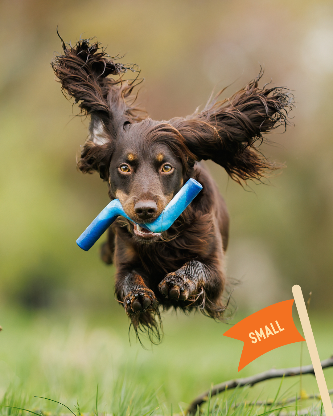Dog Fetch Toy product image 4