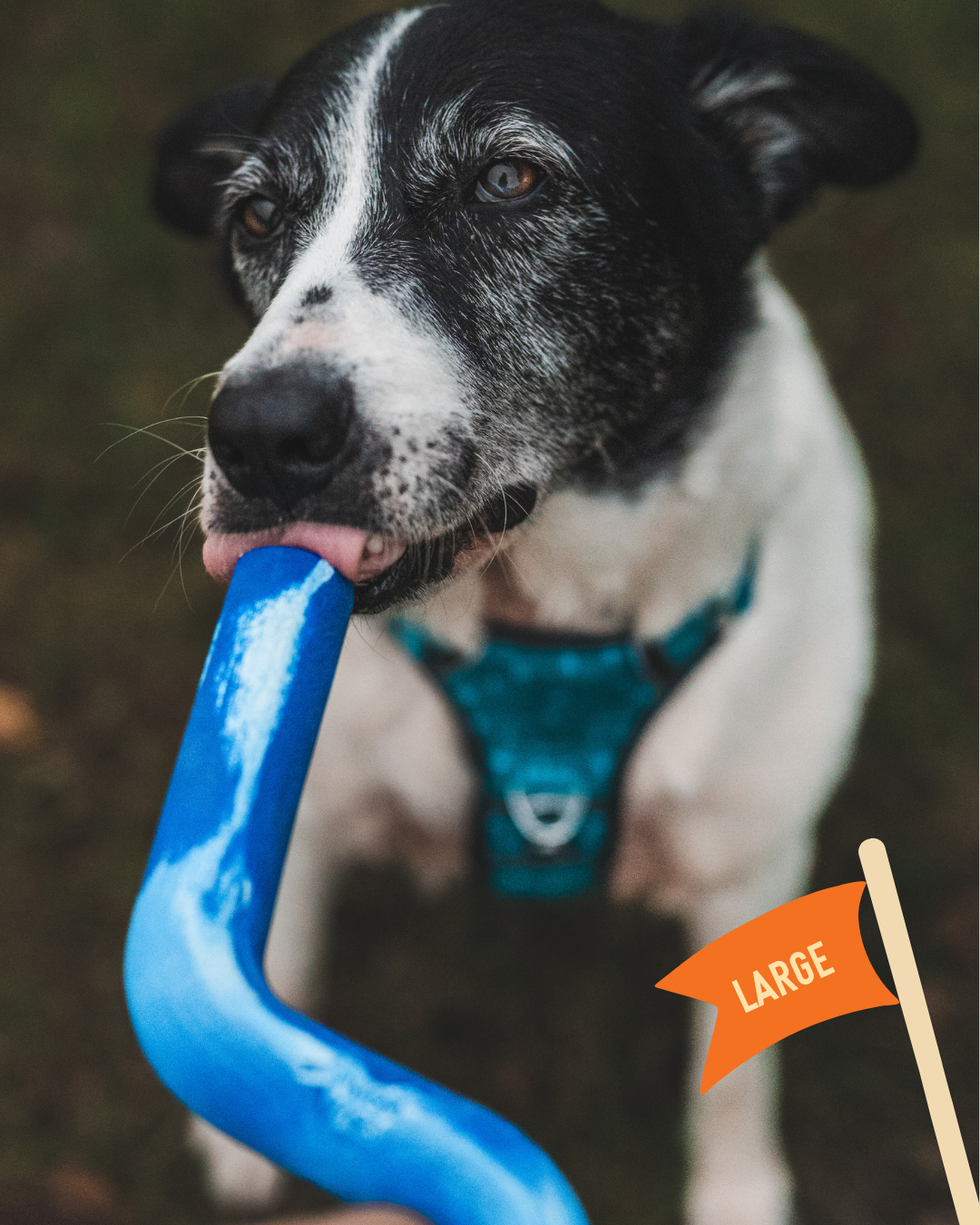 Dog Fetch Toy product image 6