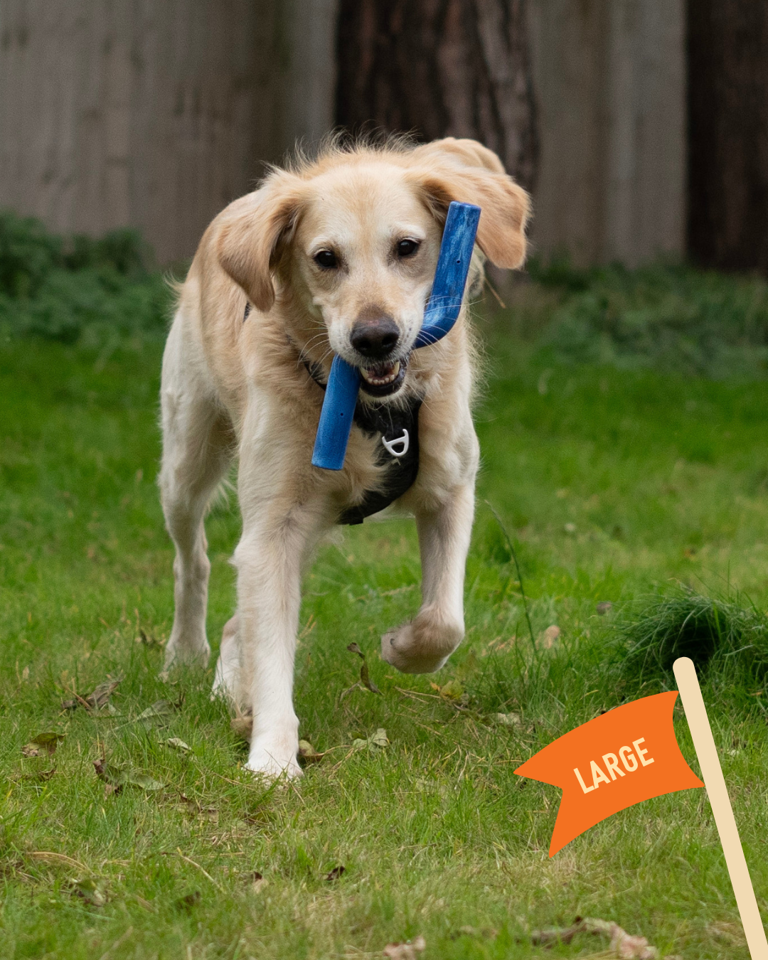 Dog Fetch Toy product image 7