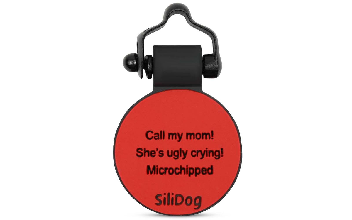 ID Tag Charm product image 2