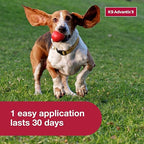 Dog Spot Treatment product image 5