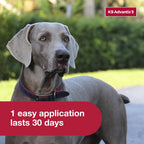 Dog Spot Treatment product image 5