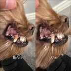 Dog Dental Chews product image 3