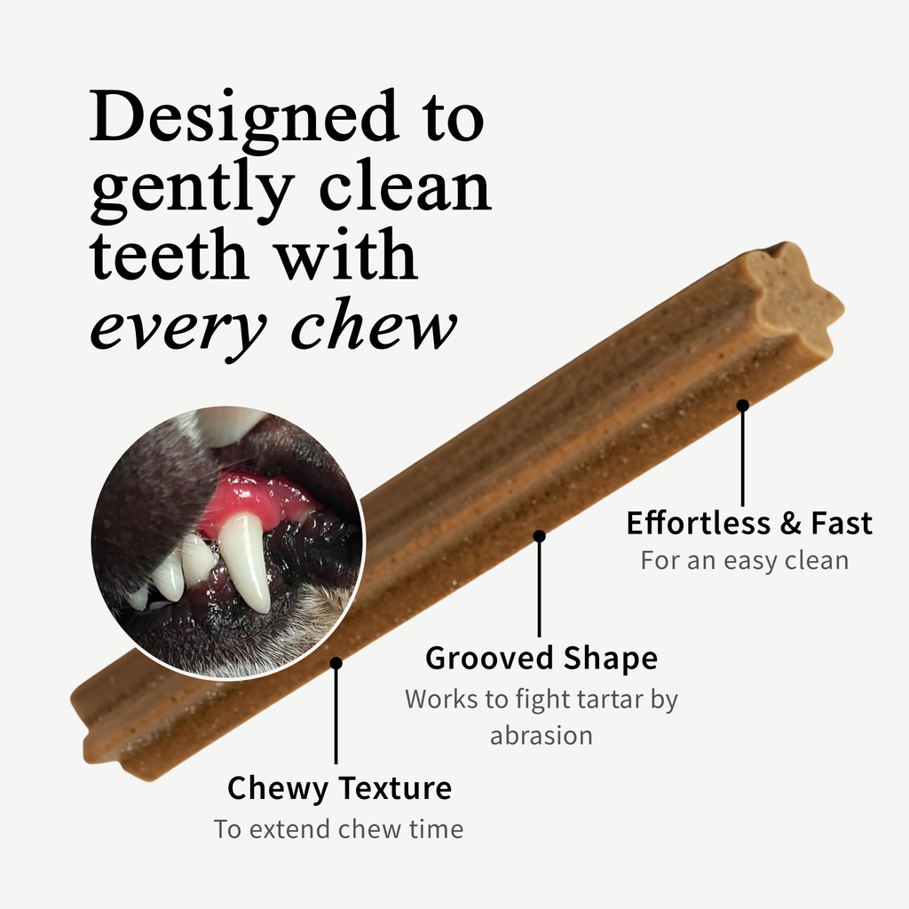 Dog Dental Chews product image 5