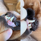Dog Dental Chews product image 7