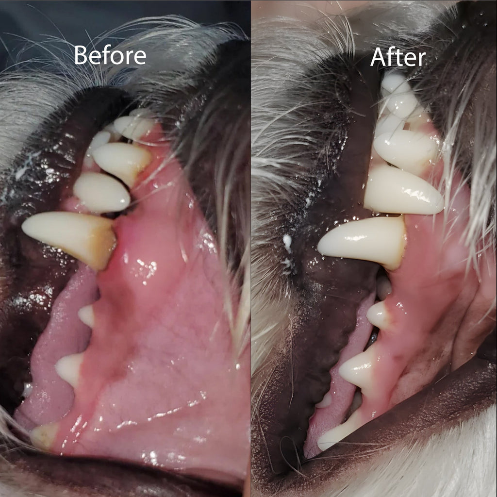 Dog Dental Chews product image 8