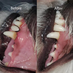 Dog Dental Chews product image 8
