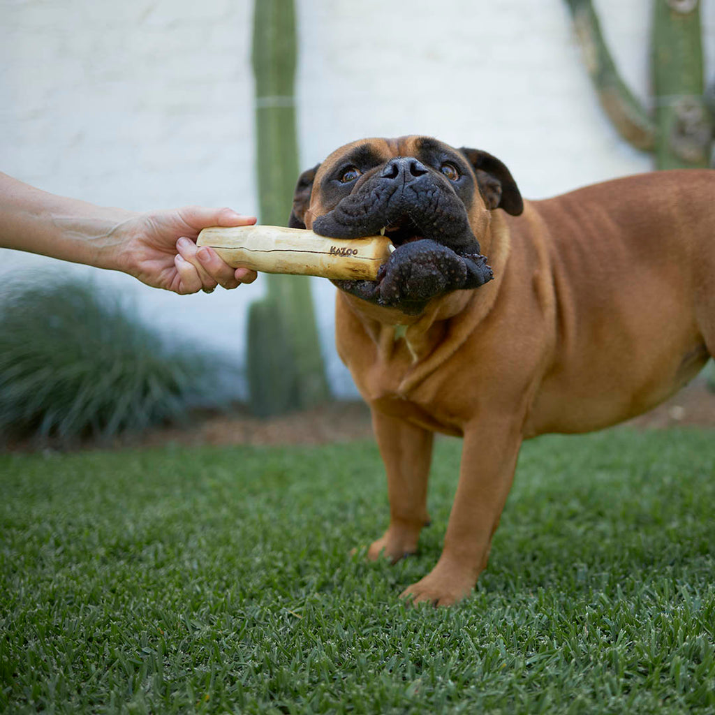 Coffee Wood Dog Chew product image 1