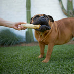 Coffee Wood Dog Chew product image 1