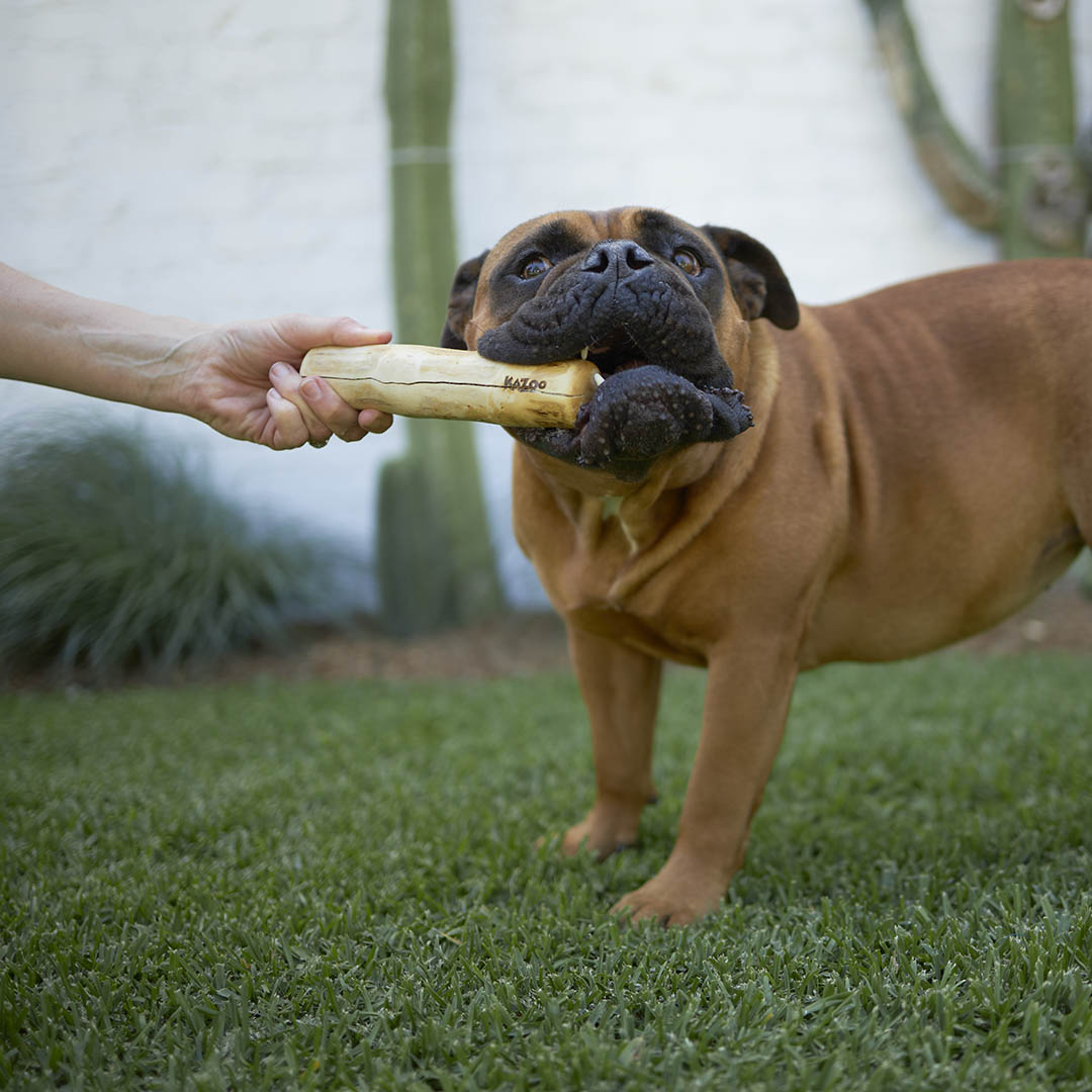 Coffee Wood Dog Chew product image 1