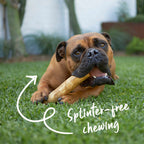 Coffee Wood Dog Chew product image 3