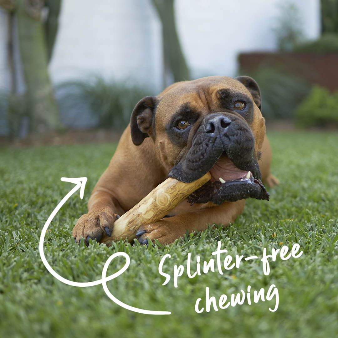 Coffee Wood Dog Chew product image 3