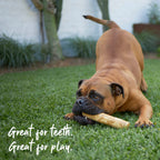 Coffee Wood Dog Chew product image 4