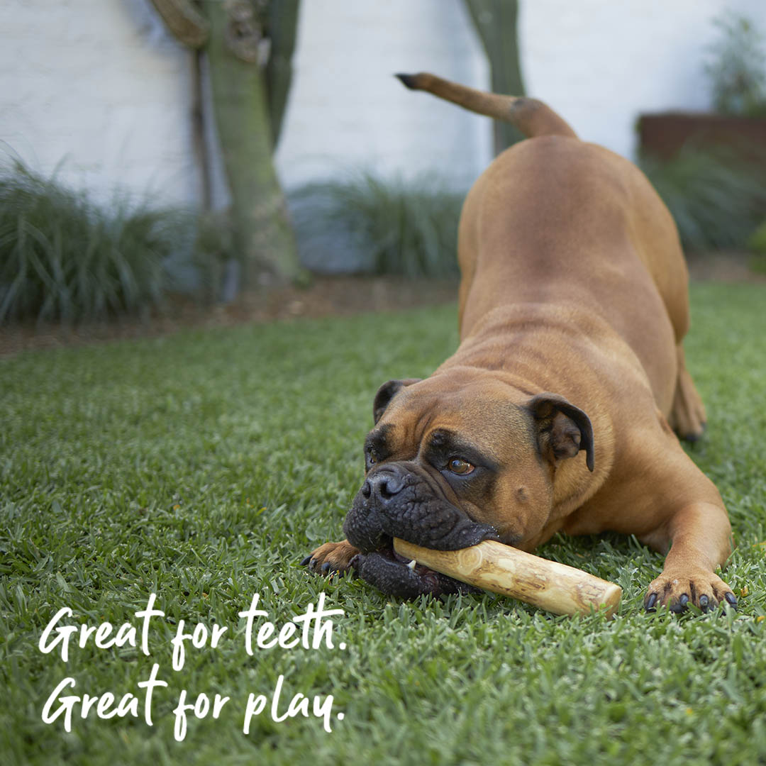 Coffee Wood Dog Chew product image 4