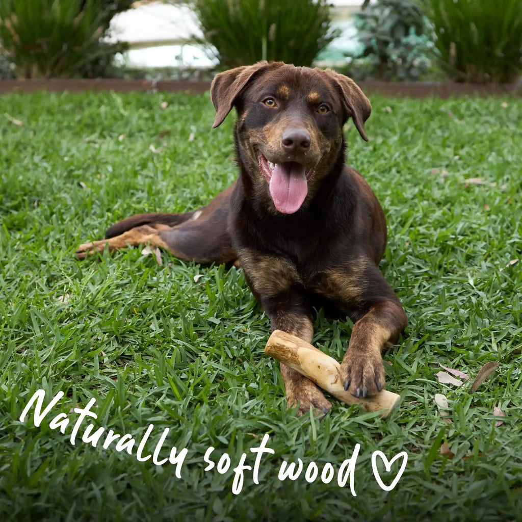 Coffee Wood Dog Chew product image 6