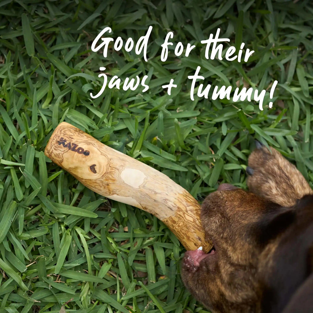 Coffee Wood Dog Chew product image 8