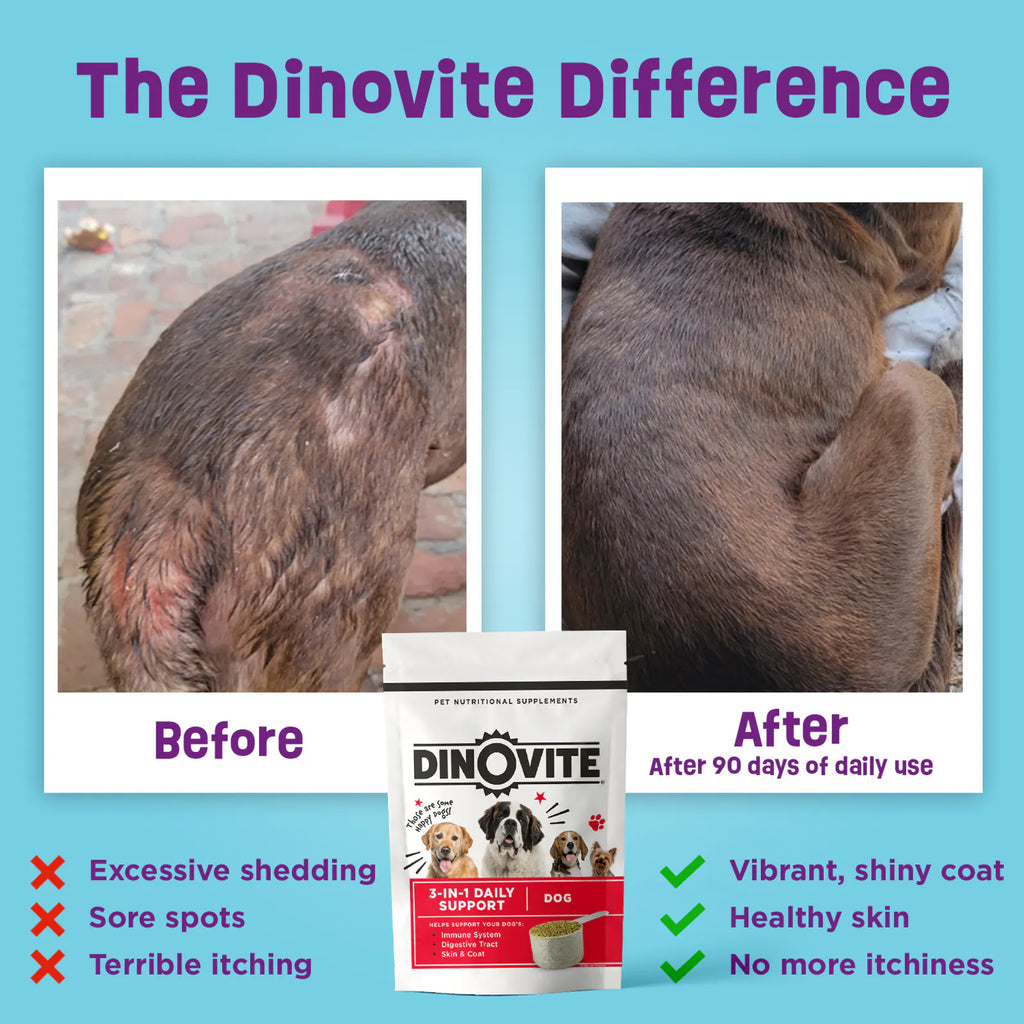 The Dinovite Difference. Before and After 