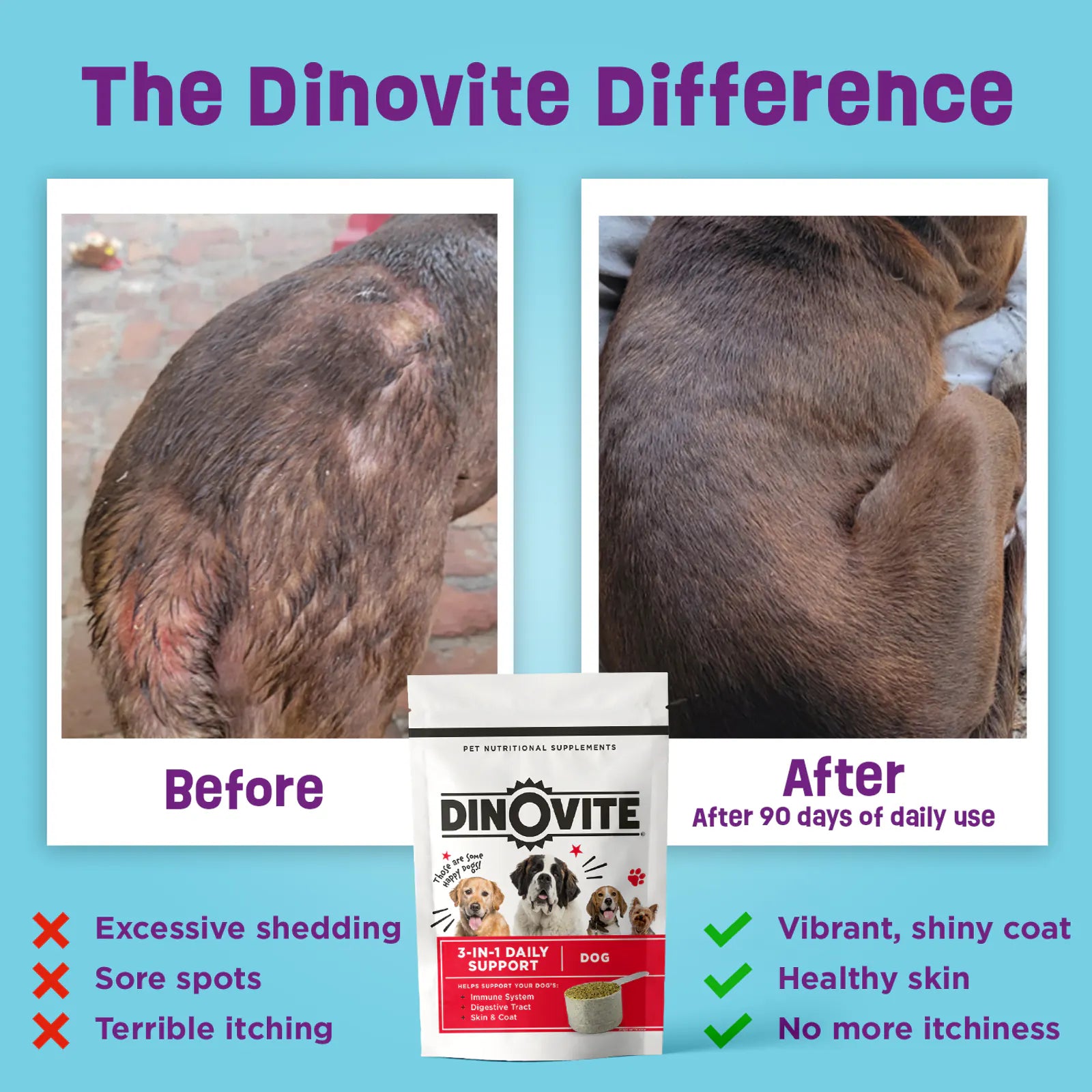 The Dinovite Difference. Before and After 