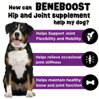 Liquid Dog Joint Supplement product image 4