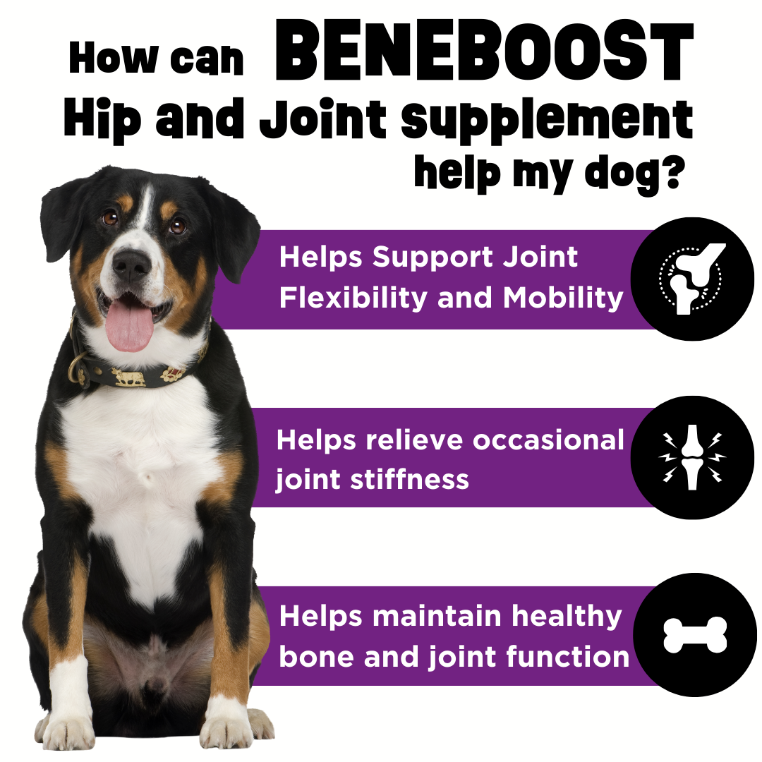 Liquid Dog Joint Supplement product image 4