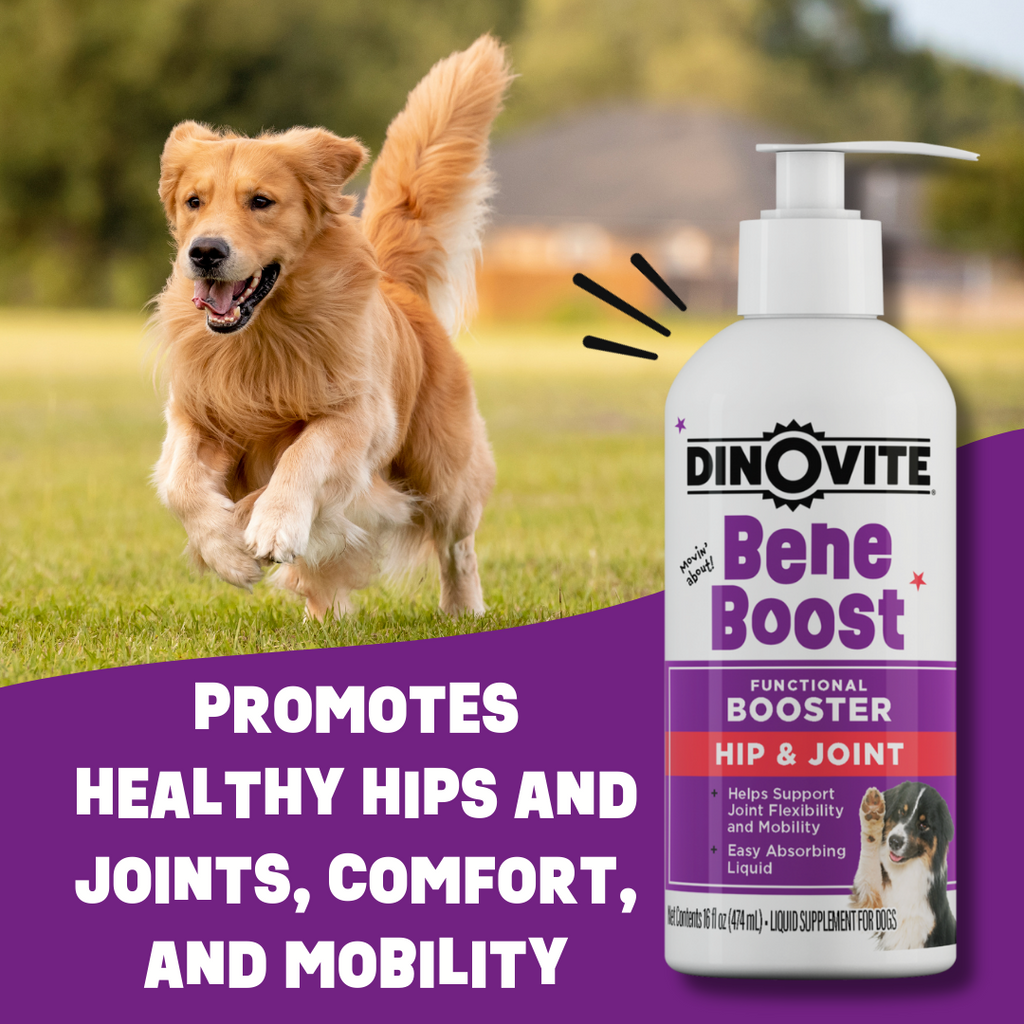 Liquid Dog Joint Supplement product image 6