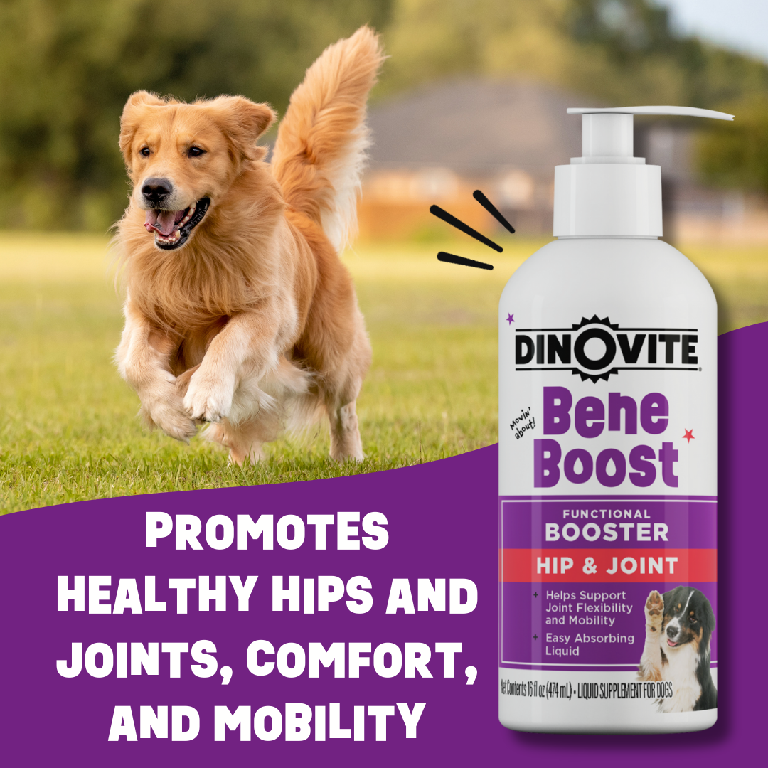 Liquid Dog Joint Supplement product image 6