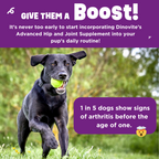 Liquid Dog Joint Supplement product image 7