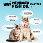 Fish Oil Supplement product image 5
