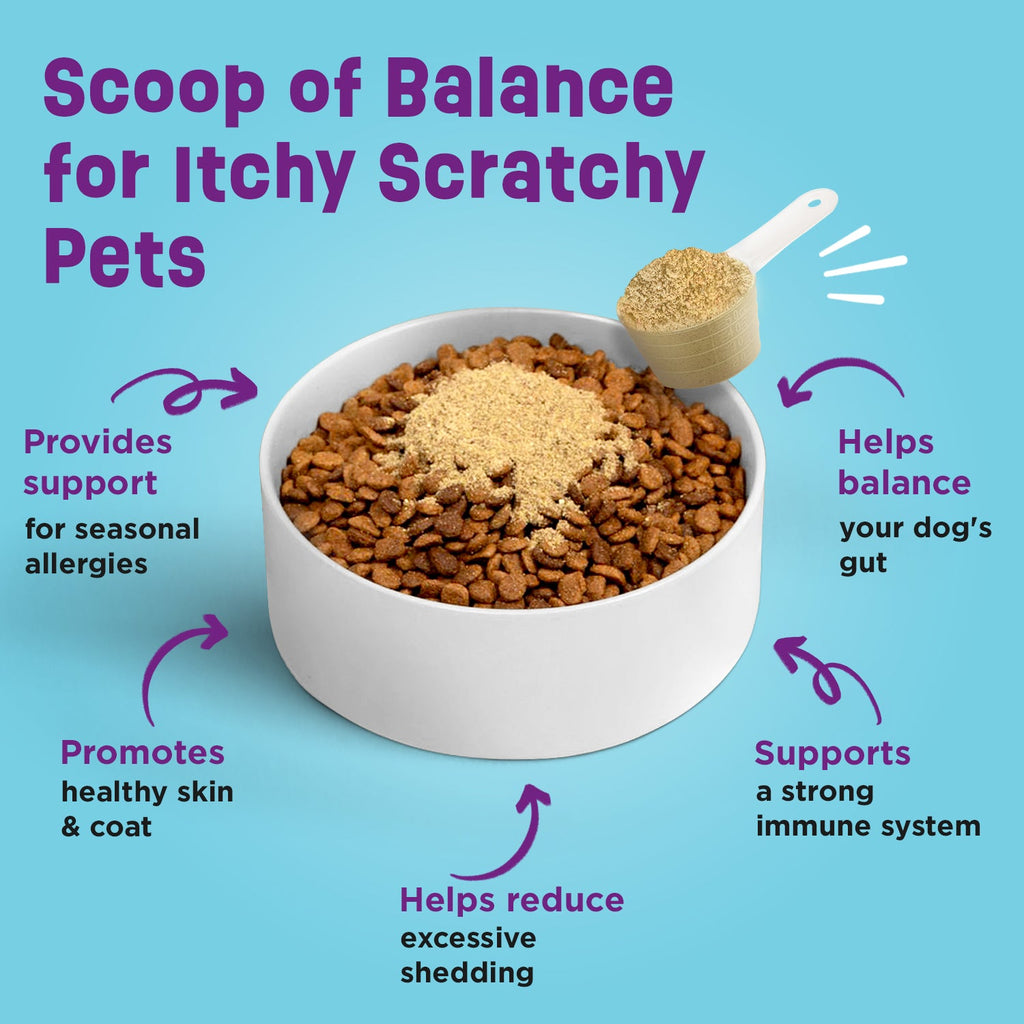 Dog Probiotic Supplement product image 2
