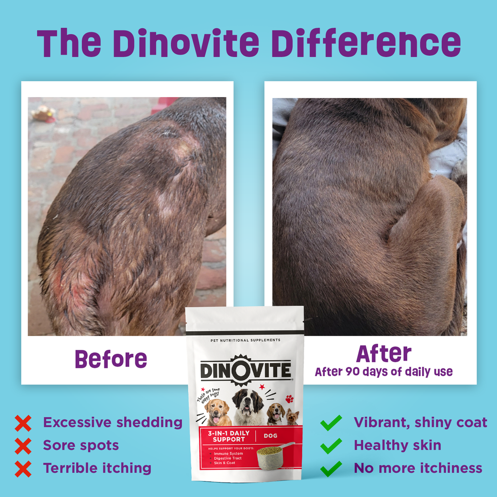 Dog Probiotic Supplement product image 3