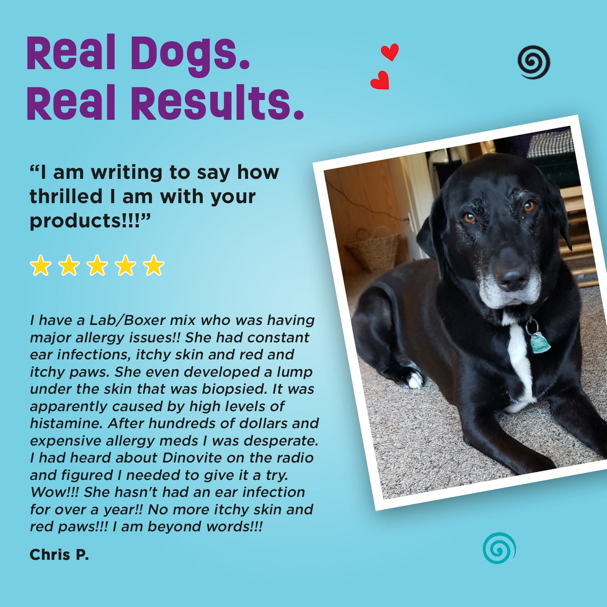 Dog Probiotic Supplement product image 7
