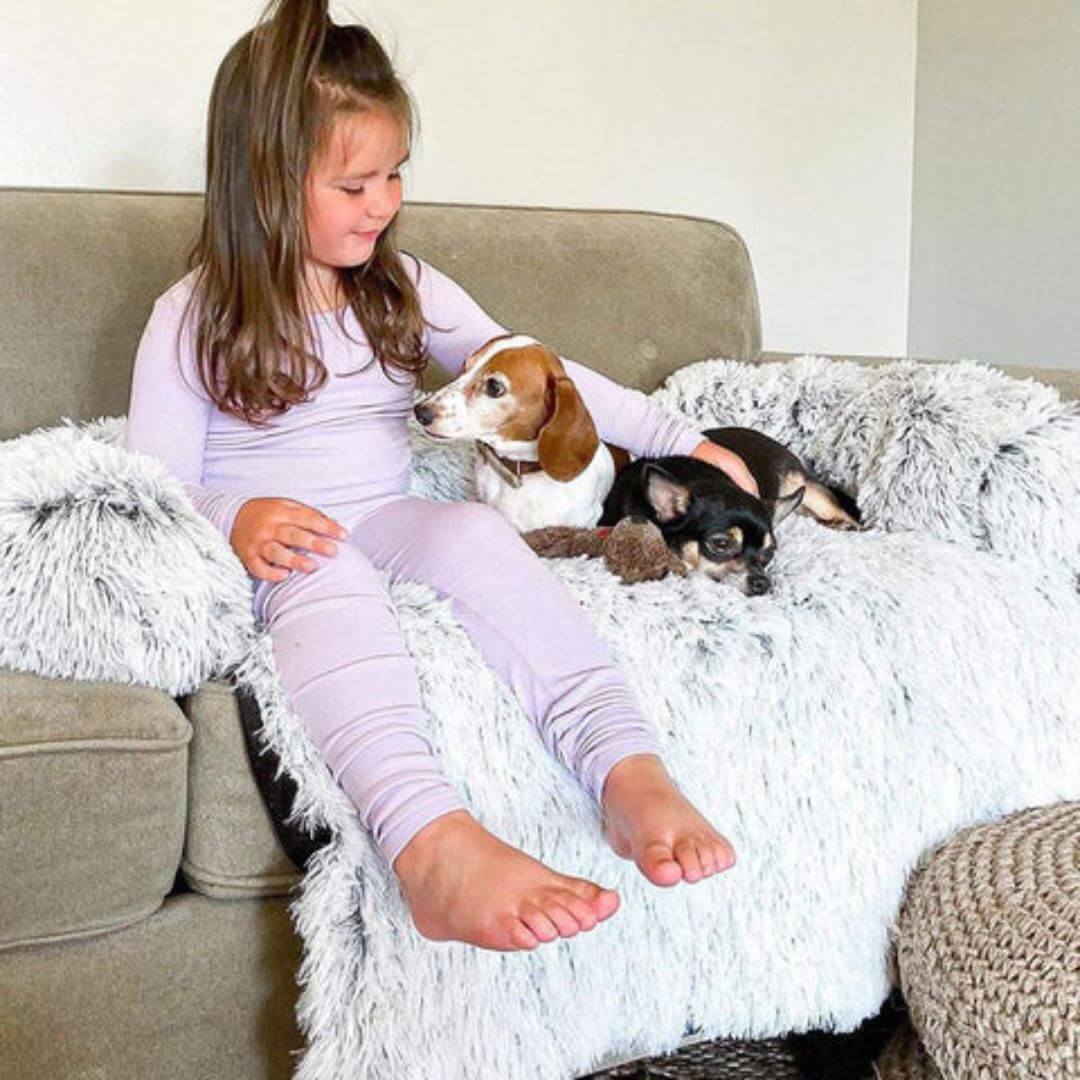 Dog Couch Cover product image 4