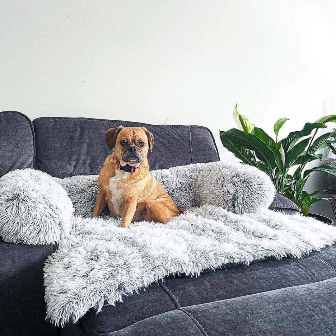 Dog Couch Cover product image 6