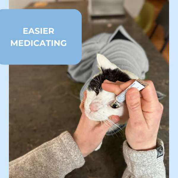 Cat Wrap product image 6