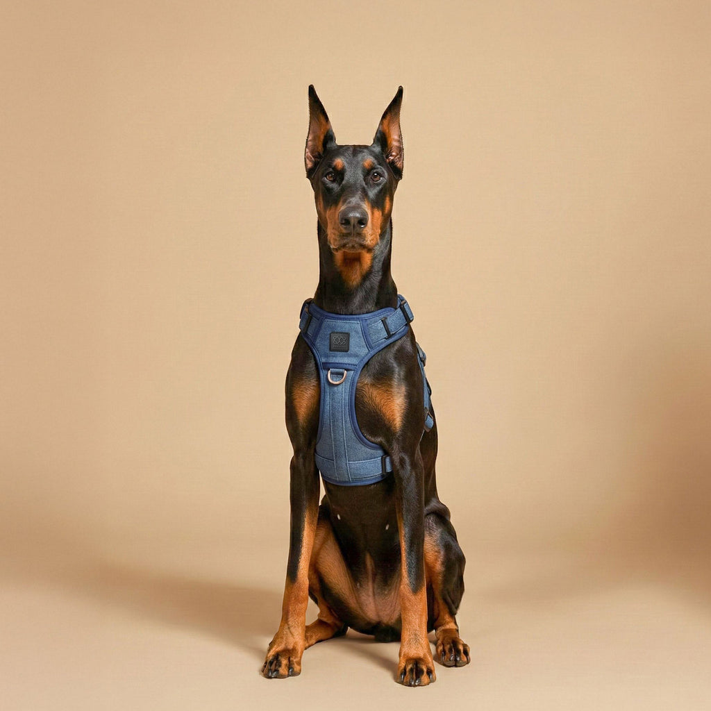 Adjustable Dog Harness product image 4