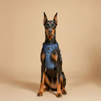 Adjustable Dog Harness product image 4