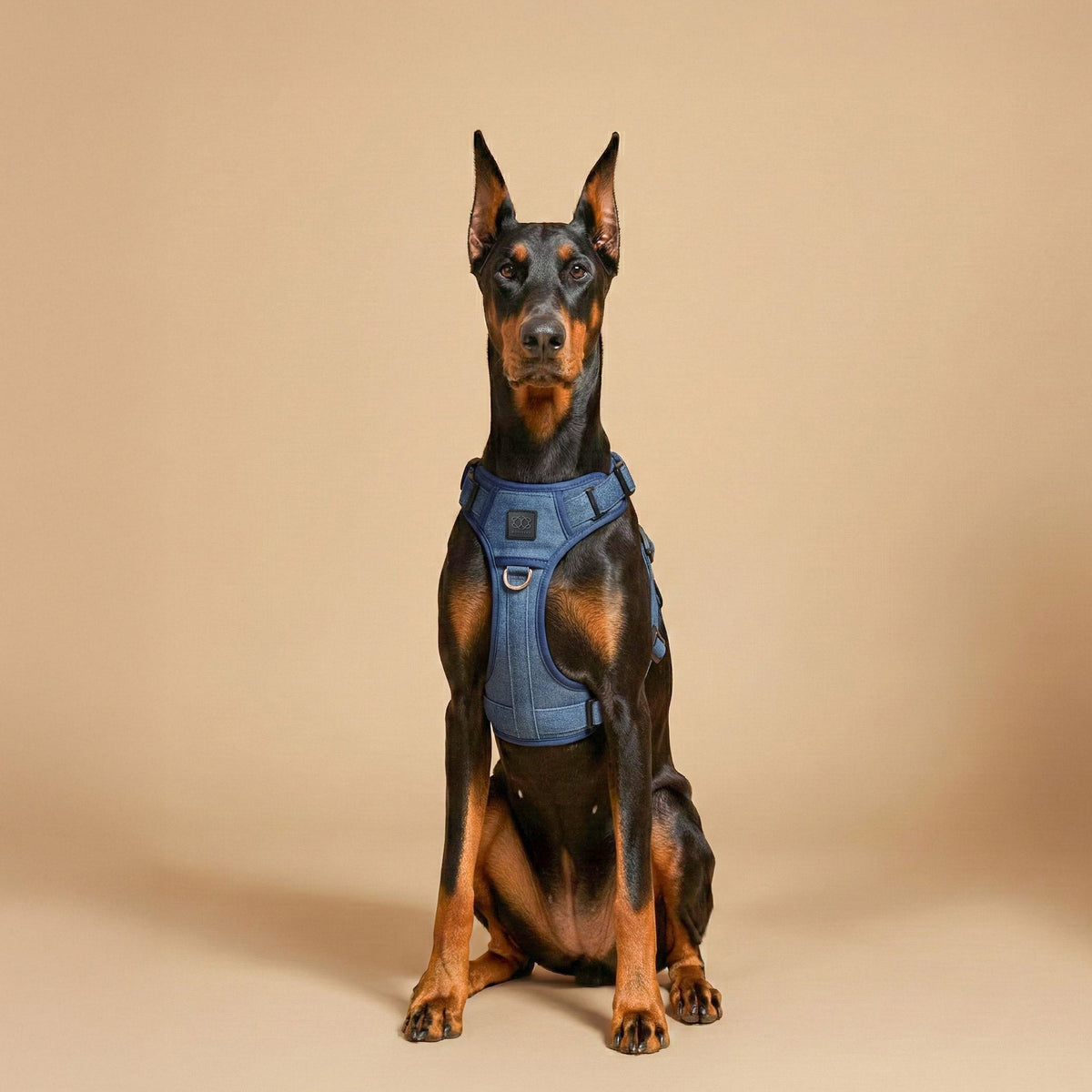 Adjustable Dog Harness product image 4